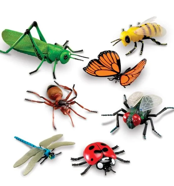 Jumbo Insects