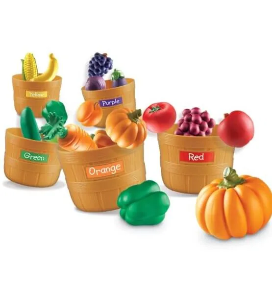 Farmer's Market Colour Sorting Set - Image 2